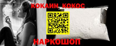 крисы Кингисепп