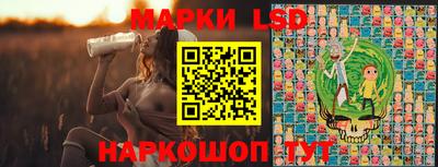 крисы Кингисепп