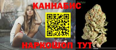 крисы Кингисепп