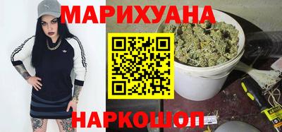 крисы Кингисепп