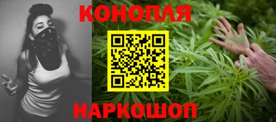 крисы Кингисепп