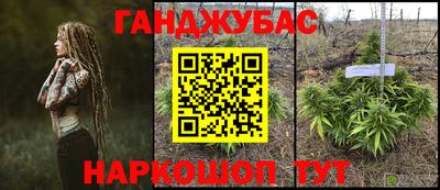 крисы Кингисепп