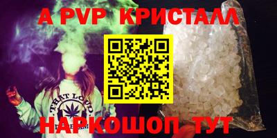 крисы Кингисепп