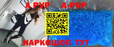 крисы Кингисепп