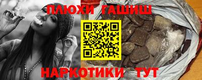 крисы Кингисепп