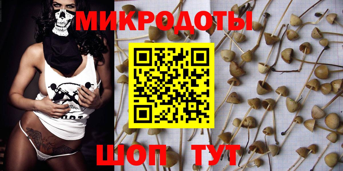 Галлюциногенные грибы Psilocybine cubensis Горячий Ключ