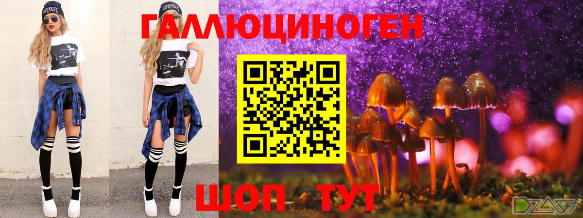 где найти наркотики  Галлюциногенные грибы Magic Shrooms  Вход с VPN  Горячий Ключ 